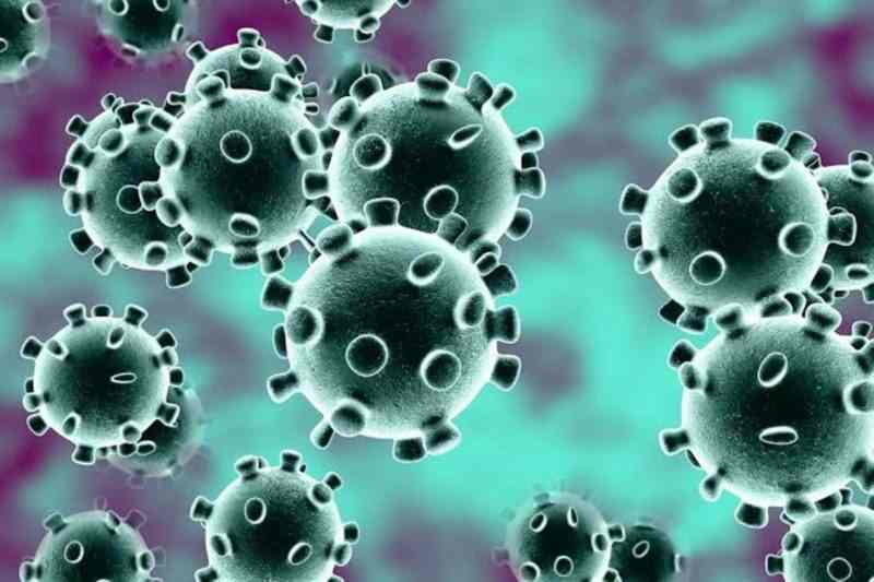 Les questions que tout le monde se pose sur le coronavirus