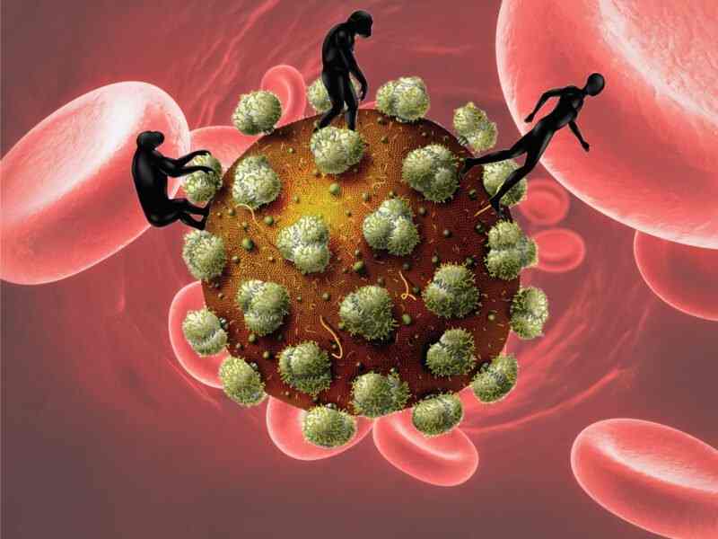 Le VIH fait son chemin vers une plus grande infectivité