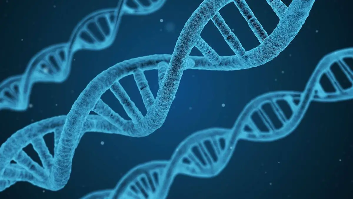 Harvard crée un outil d’édition de gènes qui concurrencerait CRISPR